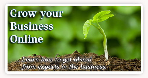 Business websites grow with the right New York web design company.